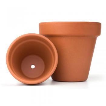 Terracotta planter